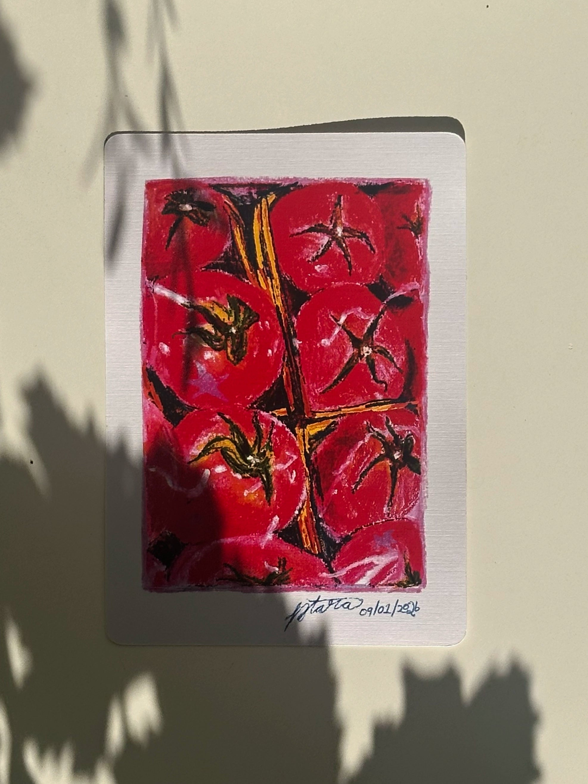 grocery store tomatoes A5 print